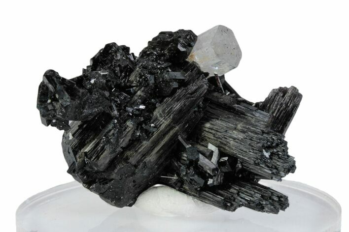 Glassy Goshenite Crystal on Schorl - Erongo Mountains, Namibia #379936